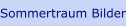 Sommertraum Bilder 